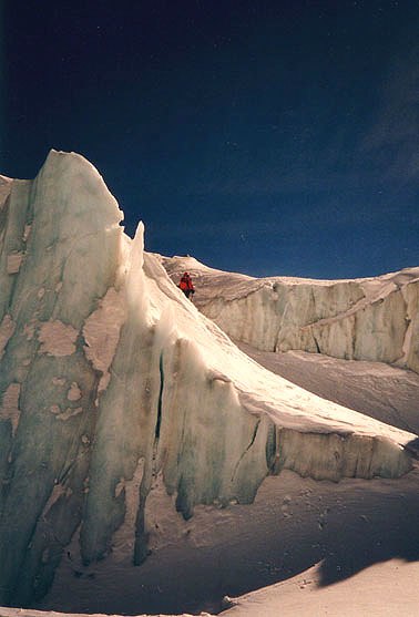 Foto: Mattias Johansson. Åkare: Cilla.