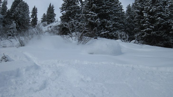 Foto: Fredrik Selander. Åkare: Tobias Rydberg.