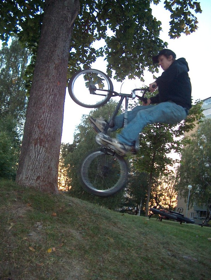 treeride =). Foto: reine jonsson. Åkare: Robin lundqvist.