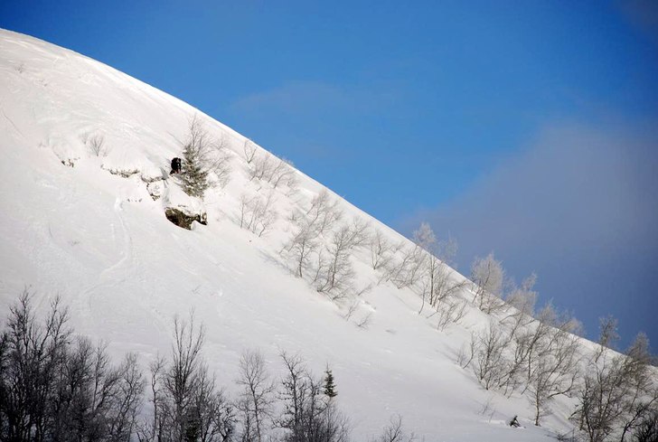 Förmiddagen var mulen och grå men precis när bi. Foto: Per Gånfält. Åkare: Verner Eriksson.