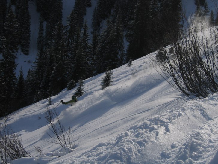 Foto: Christer Hallare. Åkare: Sten Kristian Odden.