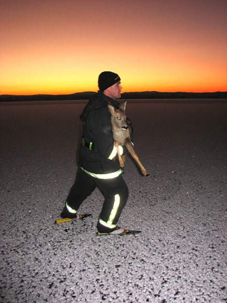 Åkare: Johan Larsson.