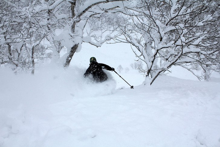 Foto: Christer Hällare. Åkare: Jonas Bodholm.