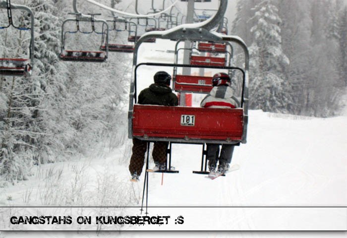 Foto: Alan Wang. Åkare: Johan Körner och Tobias Öhlander.