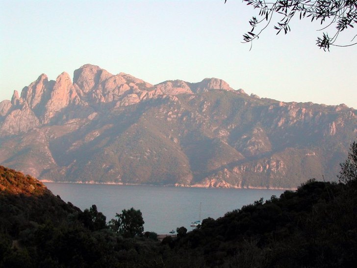 Ser ni inte elefanten ? . Foto: Mathias Moenne-Loccoz.