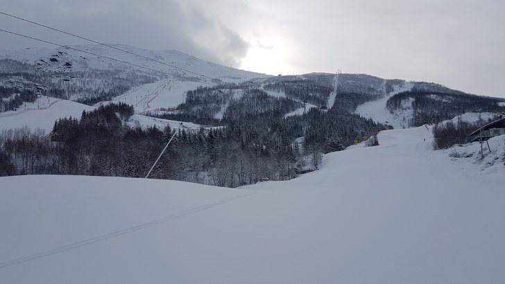 Pudder i Narvikfjellet!
Nydelige forhold i fjellet.