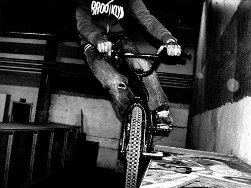 50/50 peg stal. Foto: Magnus Lindgren. Åkare: Emil Larsson.