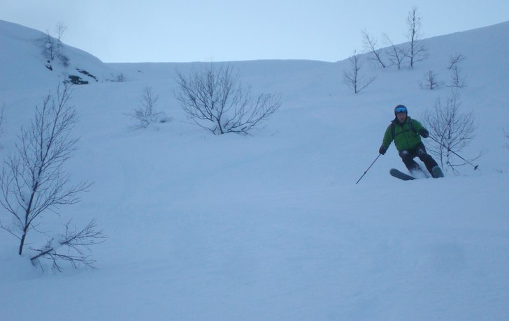 17 dec 2011. Foto: Lennart Berggren. Åkare: Björn Holst.