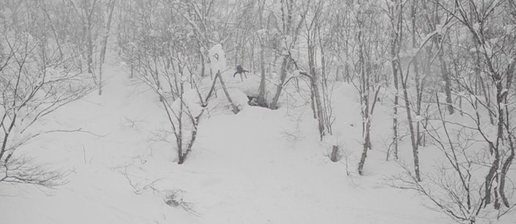 Frontflip. Åkare: Mattias.