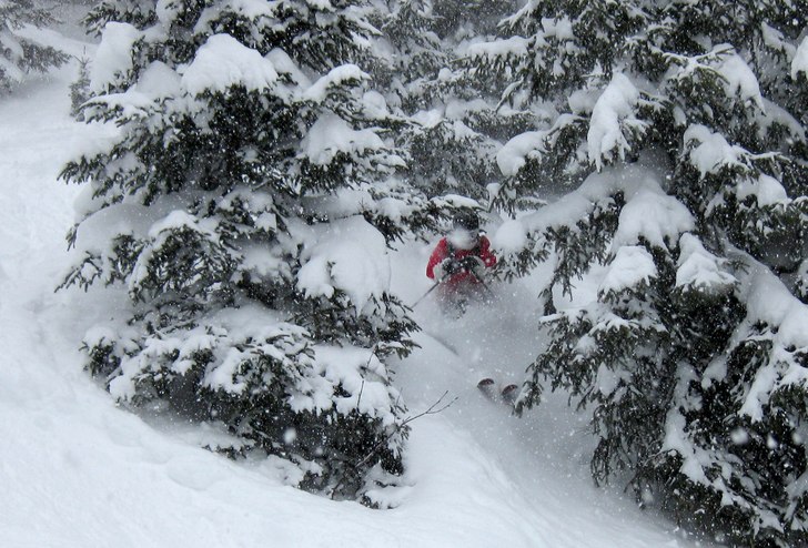 :). Foto: Michell Langerhorst. Åkare: Harri Malinen.