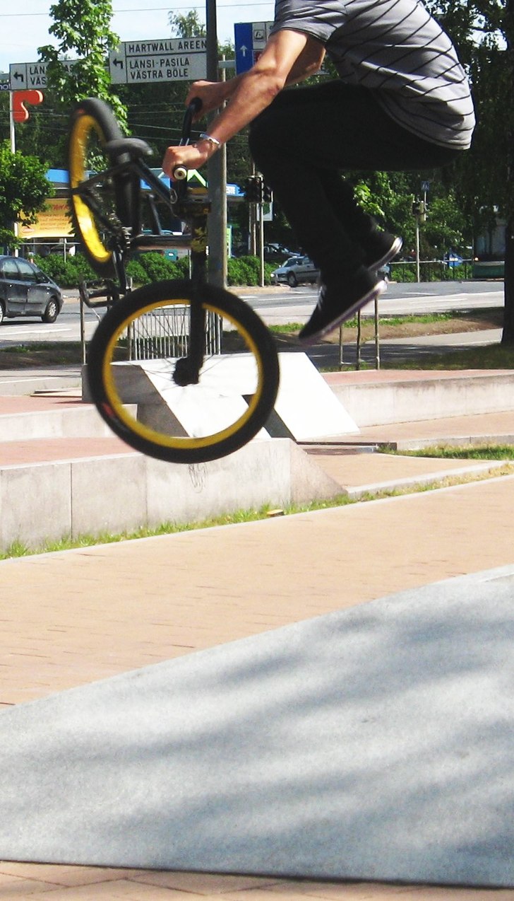 whip.. Foto: niknik. Åkare: knb.