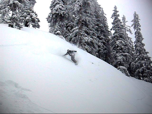 puder+skog= wonderbar. Foto: farsan. Åkare: Rickard Croy.