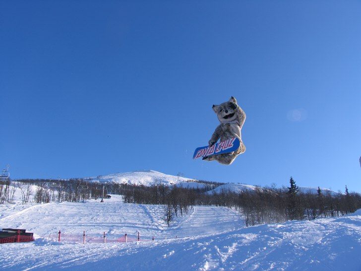 Santa Cruz loen rippar school!. Foto: Sofia Widmark. Åkare: Peter Lindström.