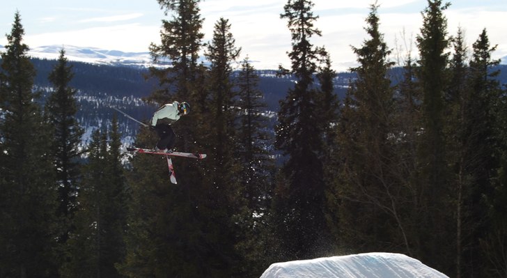 Snurr med tail o så.. Foto: Ebony. Åkare: Johan Olsson.