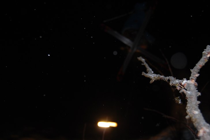 Foto: Kasper Kjaergaard. Åkare: Lucas Julin.