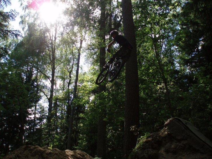 whip. Foto: fredrik nyman. Åkare: johan rasmussen.