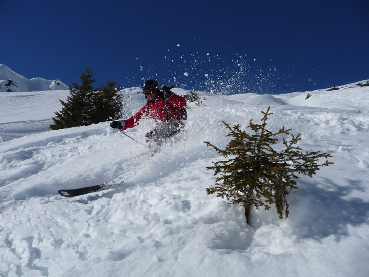 Wigga "cruisar" mellan granarna.... Foto: Bengt Eriksson. Åkare: Peo Hamrin.
