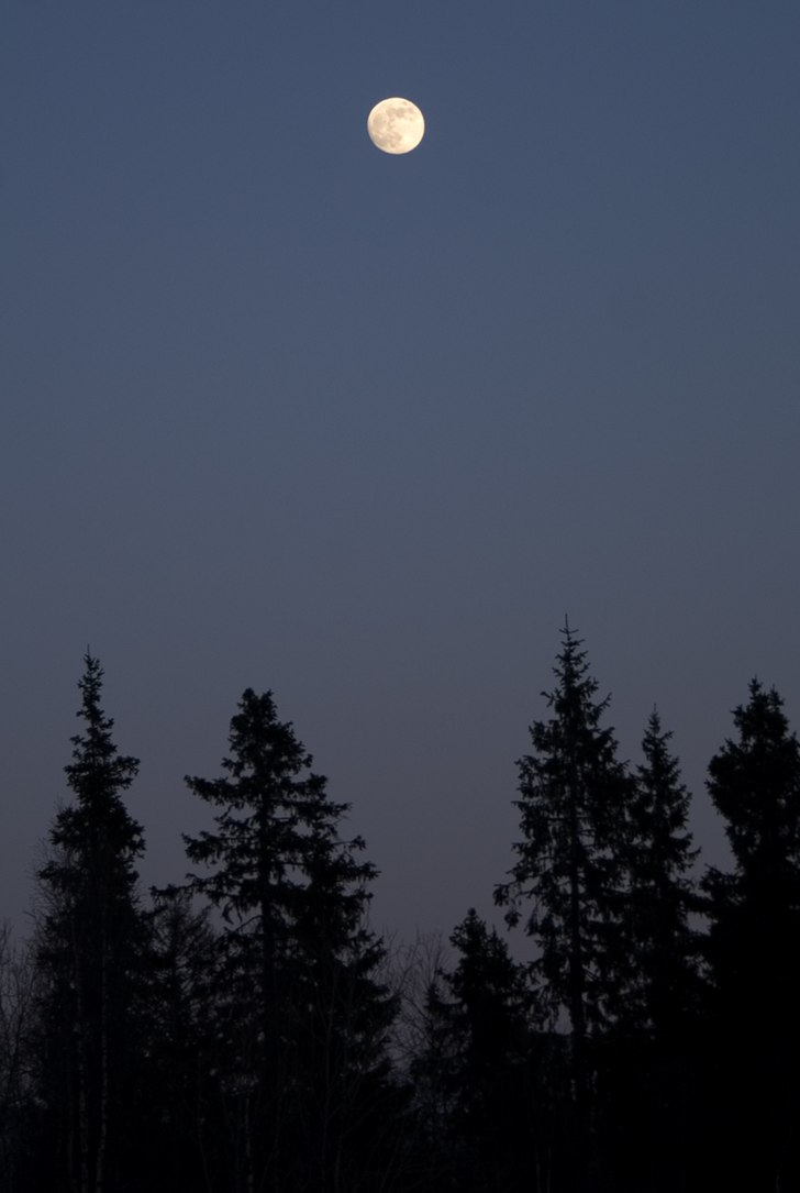 Foto: Patrik Brynielsson.