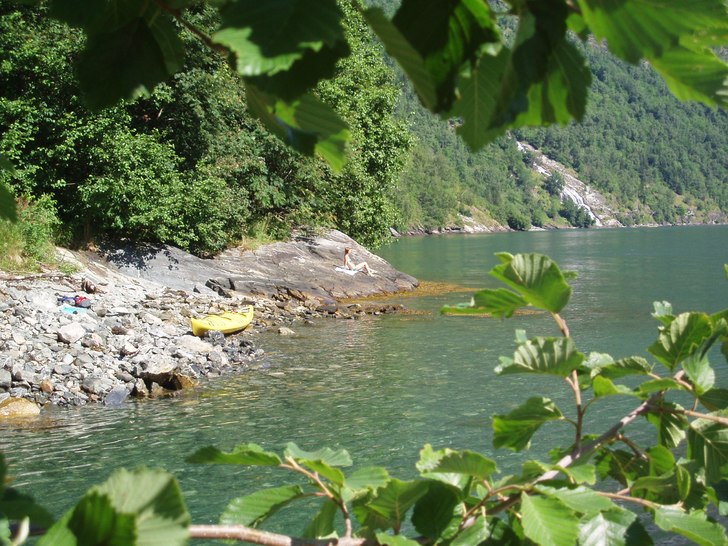 A sneakpeak through the bushes.... Foto: Johan.