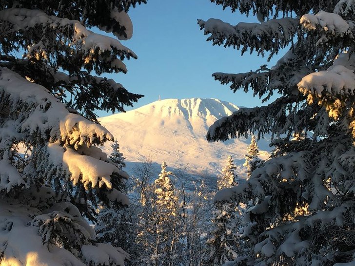 Skyfri himmel og -10
I dag kan vi melde om sol fra.