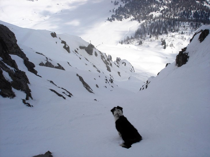 Chica straightar sin första couloir, närmare fyr. Foto: Pär Blomqvist. Åkare: Chica.