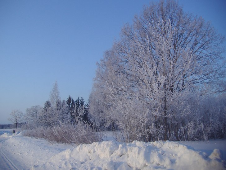 Vinter 2006. Foto: Jennie Nilson.