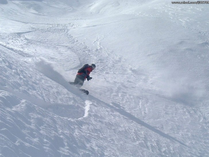 Foto: Mico Uvnäs. Åkare: Johan Malmberg.