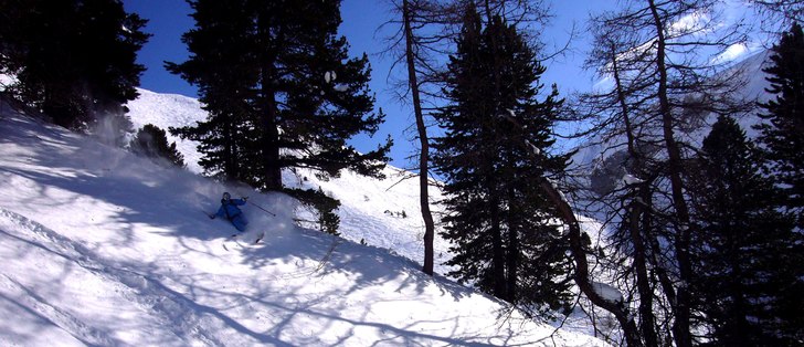 Foto: Mårten Ågren. Åkare: Magnus Kring.