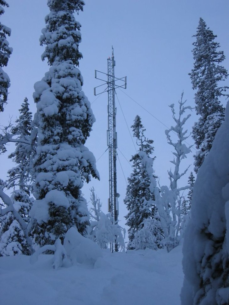 Foto: Johannes Nygren.