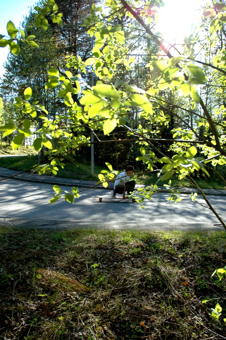 Foto: Tim Forsström Jacobsson. Åkare: Ted Forsström Jacobsson.