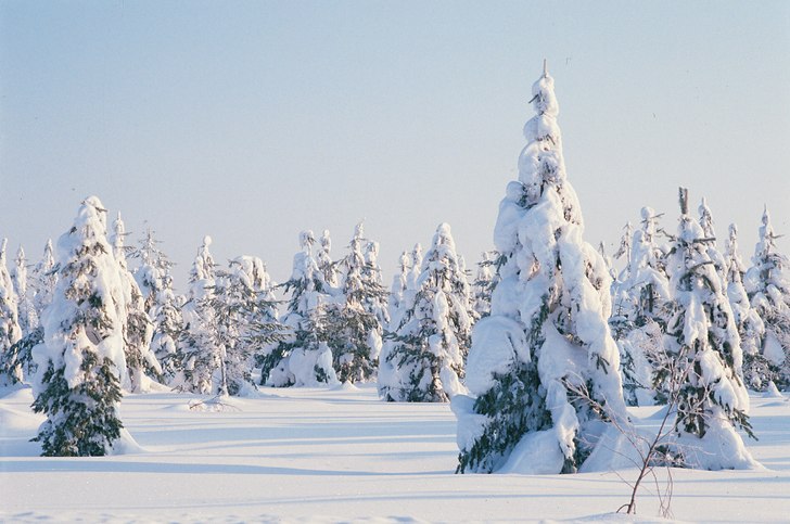 Längtar till snön kommer (:.
