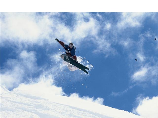 en puderdag! :D tre små fåglar. Foto: magnus jagskataredapådet. Åkare: Jonny Rosenqvist .