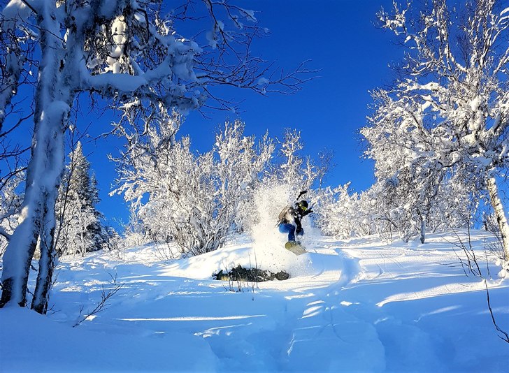 Premiäråkning i Vemdalen. Åkare: Alfred Bolsöy.