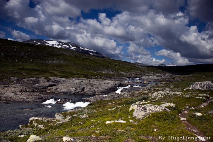 en bild från förra sommaren . Foto: hugo ljungquist.