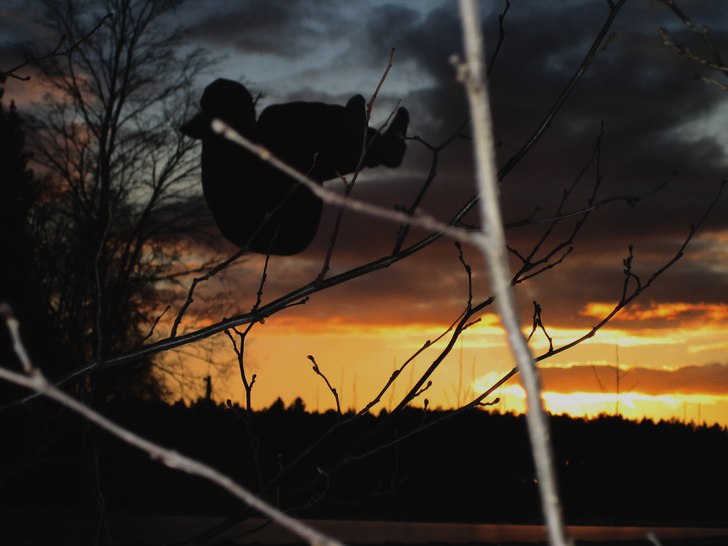 fick en ganska lyckad bild på broder och solskene. Foto: jag. Åkare: erik röckner.