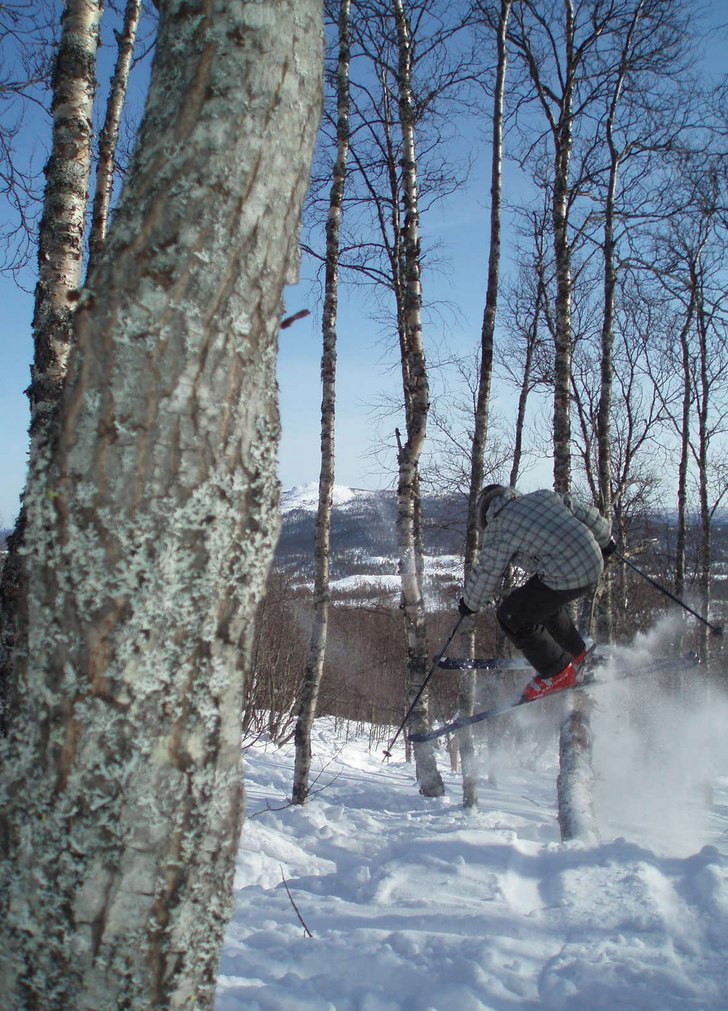 Rail på ett fallet träd. Foto: Alexander Bodén. Åkare: Gustav Bodén.
