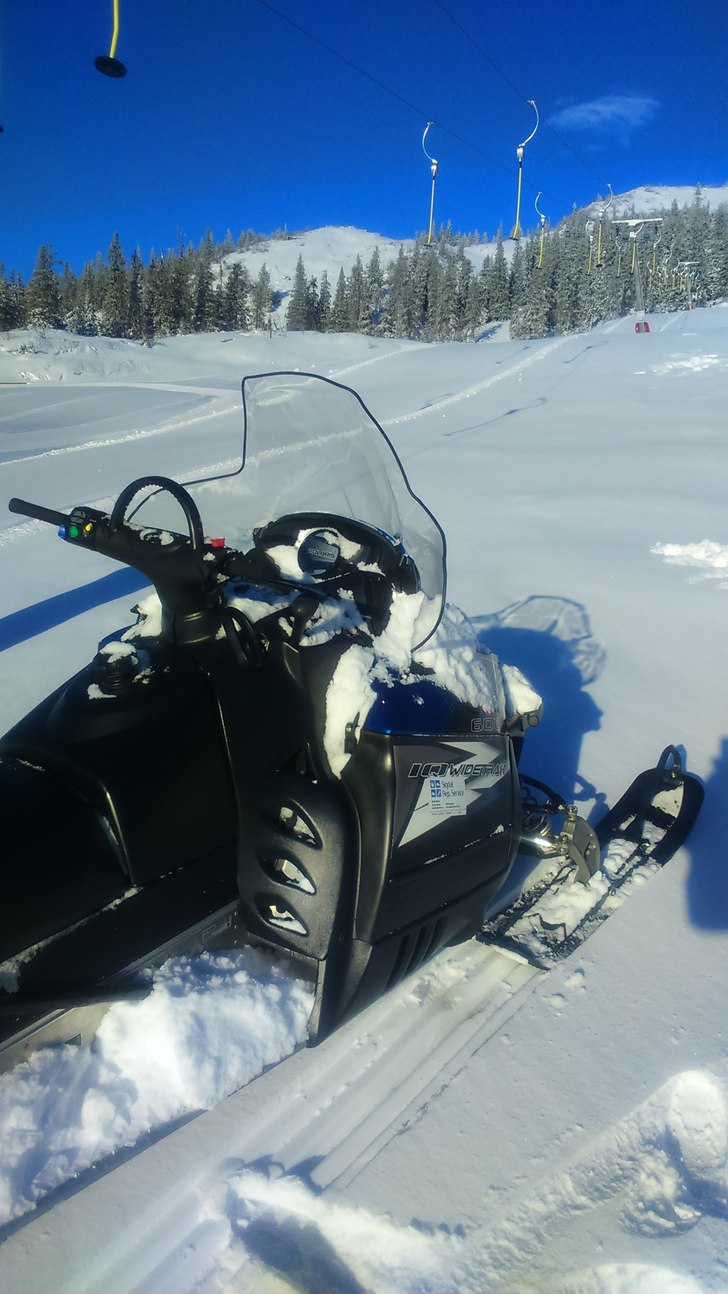 Strålende vintersol 
5 cm nysnø og knallblå him.