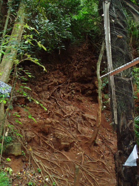 Usch, lerig härlig klättring....men det var d v�.