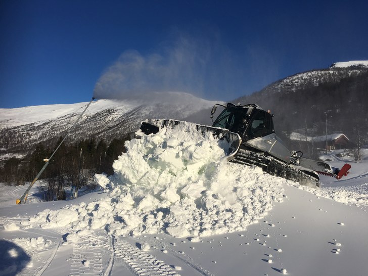Onsdag 8.Mars

-9 nede i dalen på morgonkvisten .