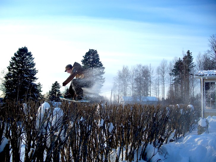 fs 180 stalefish. Foto: Mor. Åkare: Tim Linngård.