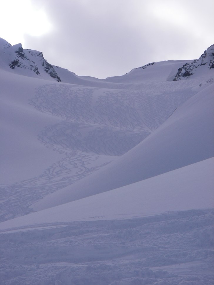 Alla heli-gruppers spår vid slutet av en underbar. Foto: Hanna Rudberg.