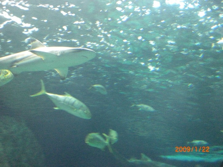 Kom precis hem från teneriffa.... Foto: sebastian fransson.