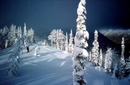 Turade lite med Natasha. Skönt ljus just innan sn. Foto: Pär Lindholm. Åkare: Natasha.