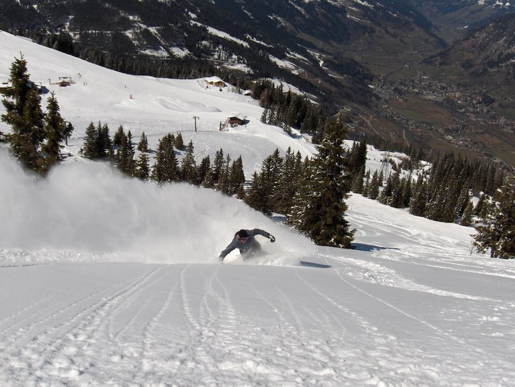 Foto: Morra. Åkare: Jonas F.