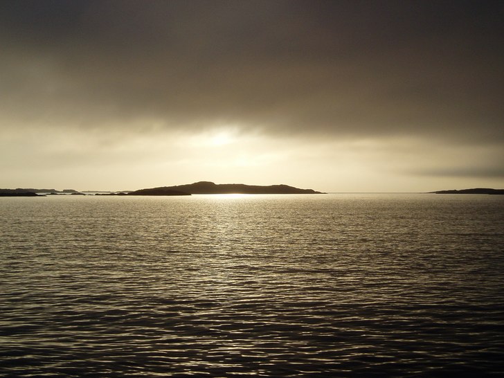 Foto: Primus Bergström.