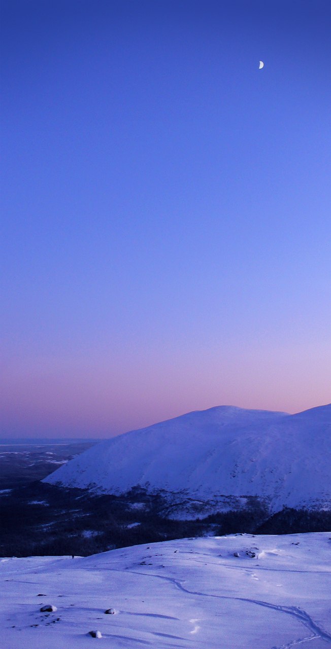 Foto: Bengt Hammari. Åkare: Okänd.