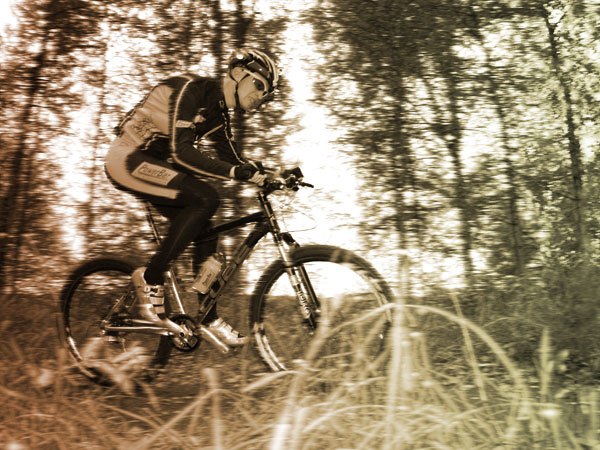 Foto: Martin Jonsson. Åkare: Daniel Larsson.