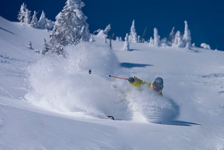 En till bild i serien från Big Red Cats. Sjuk dag. Foto: Joakim Larson. Åkare: Richard Larson.