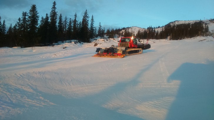 Solen varmer og bakken er nypreppet
Det blir ikke .