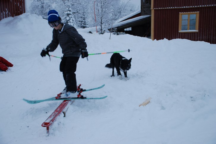 Foto: caroline. Åkare: maximilian.